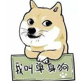 单身狗吃瓜详情,揭秘娱乐圈那些不为人知的幕后故事