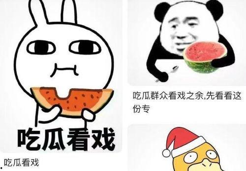 吃瓜看戏语录搞笑,吃瓜看戏语录大盘点,让你笑到肚子疼!