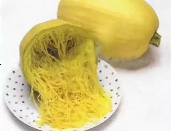 金丝绞瓜可以吃小瓜吗