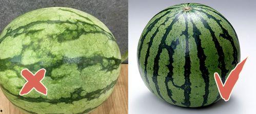 吃瓜的周正,揭秘娱乐圈幕后风云