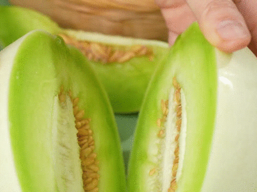 山东景点吃瓜,瓜果飘香中的文化盛宴