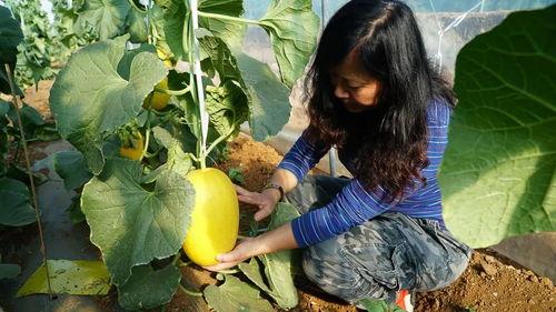 带你吃瓜的诗文,带你领略“吃瓜”文化的诗意魅力