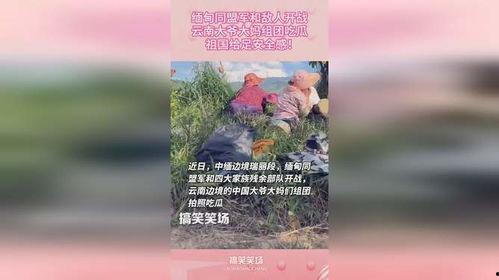 大爷大妈吃瓜缅甸,缅甸“吃瓜”现象背后的文化解读