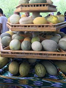 吃瓜观众什么生肖,揭秘吃瓜观众背后的生肖秘密