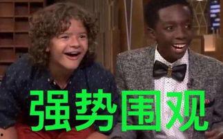 你们在哪吃瓜啊,揭秘“在哪吃瓜”现象背后的社交奥秘