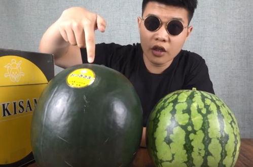 国产直播日本吃瓜,网友热议不已