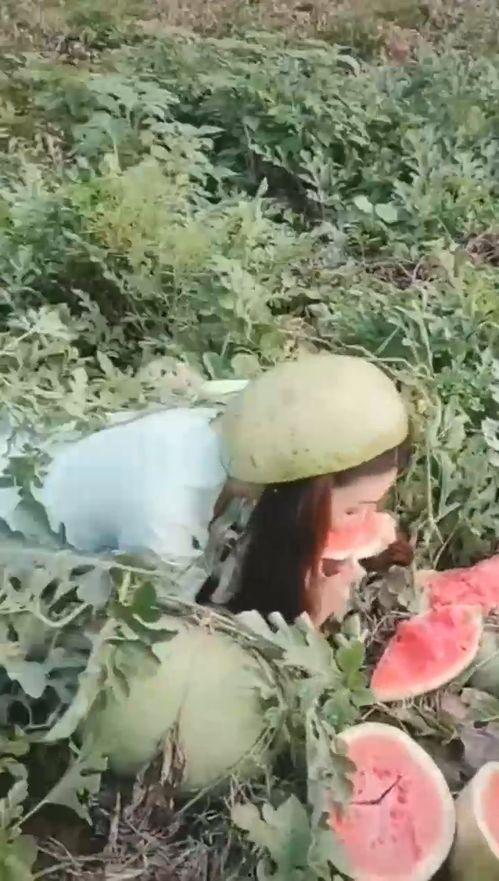 利川小姐姐吃瓜,揭秘网络热点的背后故事