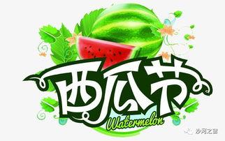 带你吃瓜玩糖果人,带你领略“吃瓜玩糖果”的独特人生之旅