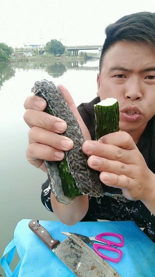 摩刀最新吃瓜,揭秘娱乐圈幕后风云