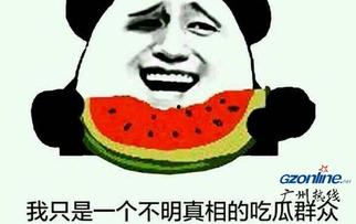 呆瓜吃瓜瓜看瓜,一场欢乐的观瓜之旅