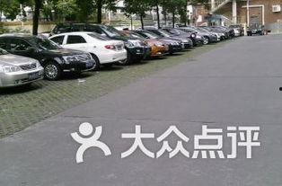 曲阳停车场吃瓜,吃瓜群众的欢乐盛宴