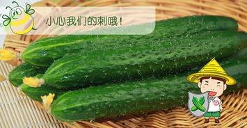 吃瓜小六,揭秘娱乐圈那些不为人知的幕后故事