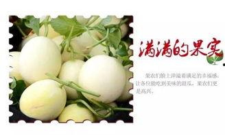 带你吃瓜大神,揭秘娱乐圈那些不为人知的幕后故事