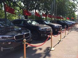 天津滨海汽车吃瓜