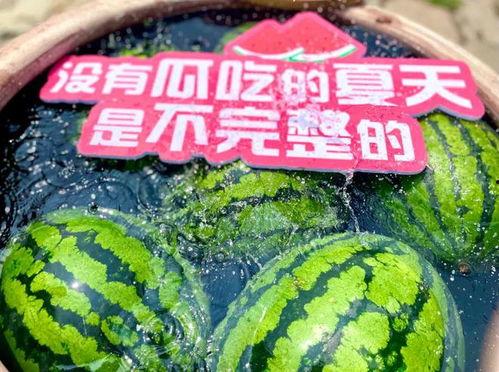 大型吃瓜日,揭秘娱乐圈幕后风云